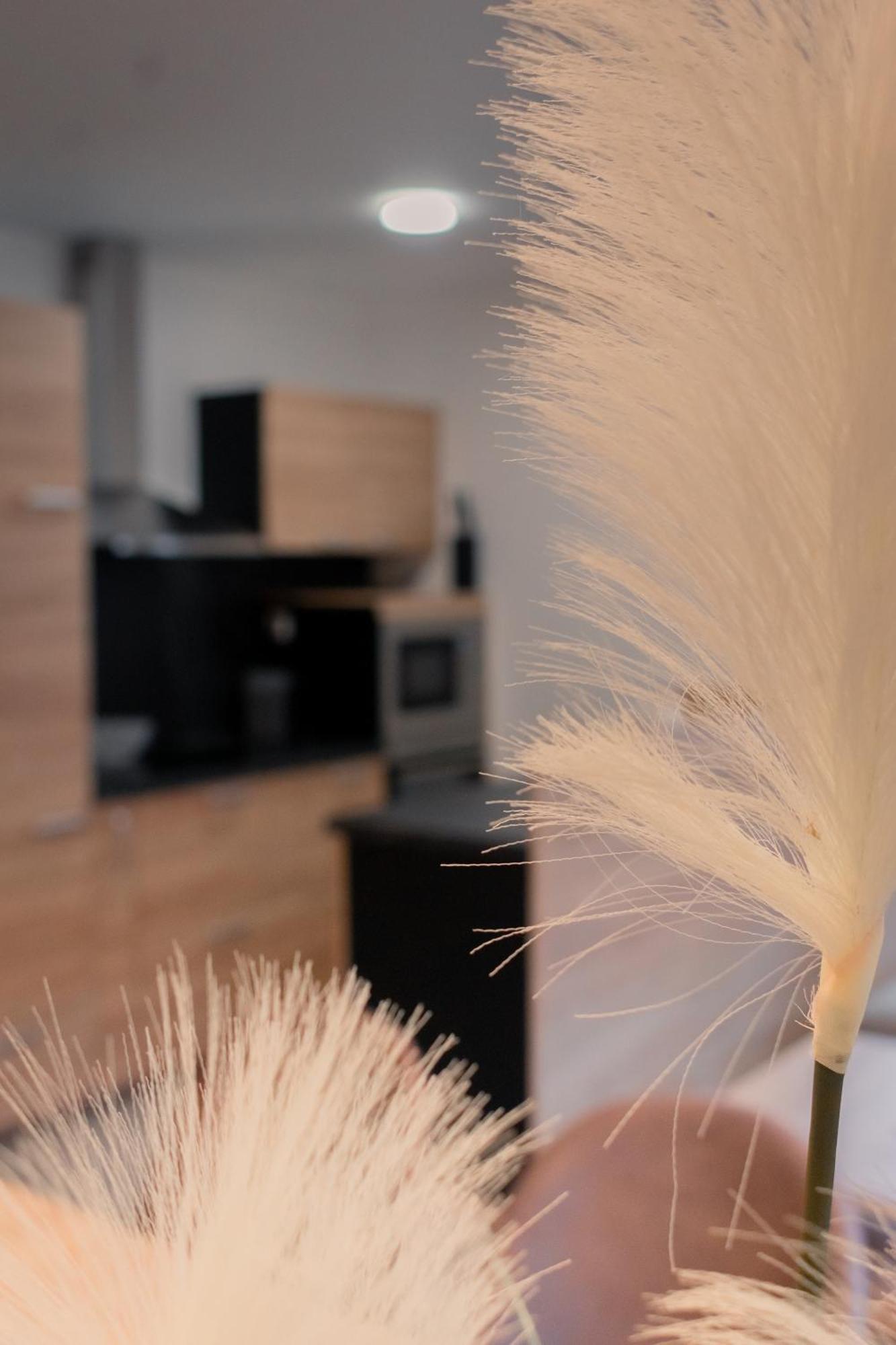 Zirovnica Prima Countryside Apartments חדר תמונה